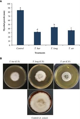 Use of Trichoderma culture filtrates as a sustainable approach to mitigate early blight disease of tomato and their influence on plant biomarkers and antioxidants production